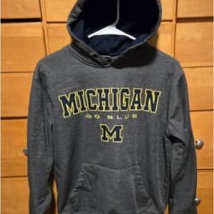 Colosseum Gray Michigan Go Blue Hoodie
